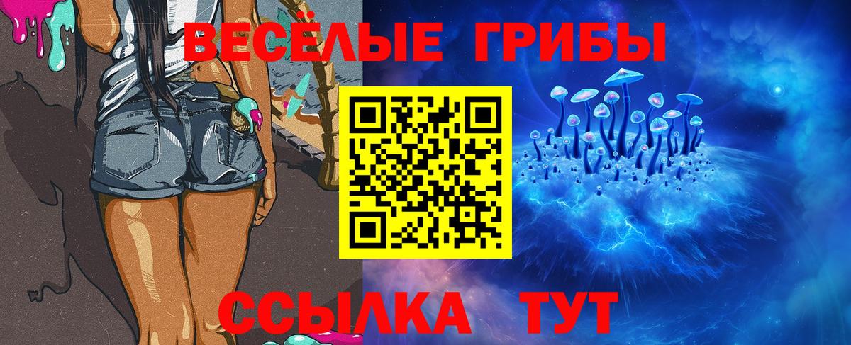 Псилоцибиновые грибы Psilocybine cubensis Димитровград