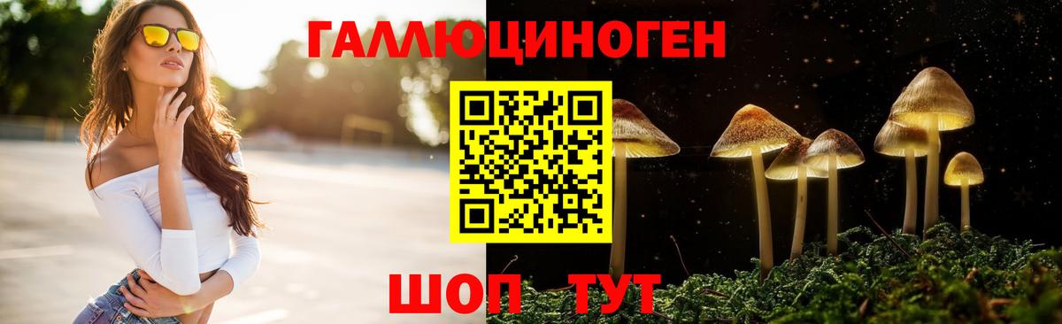 Галлюциногенные грибы прущие грибы  Вход с VPN  Димитровград 
